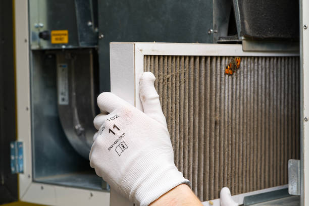 Best Residential Air Duct Cleaning  in Dumas, TX