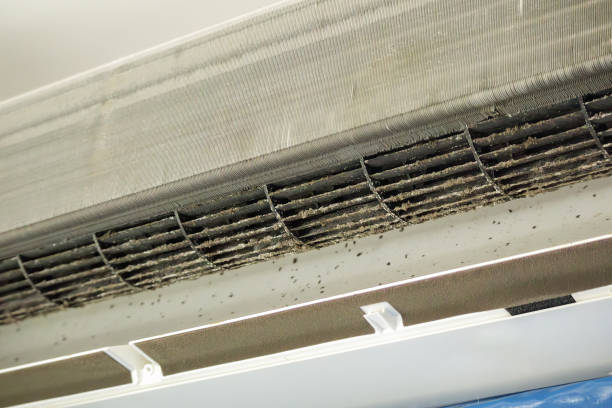 Best Professional Duct Cleaning Services  in Dumas, TX